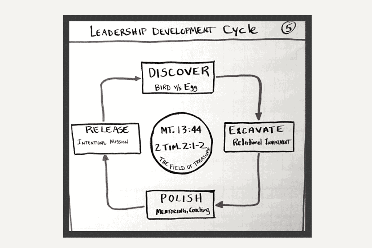 leadership development cycle