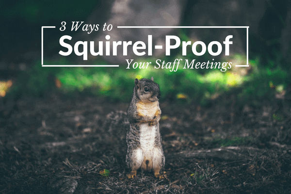 TUG-Header-Squirrel-Proof-Staff-Meetings