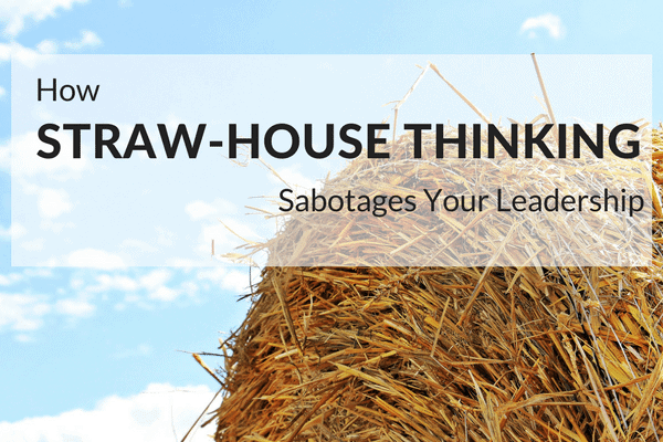 straw-house-thinking-updated
