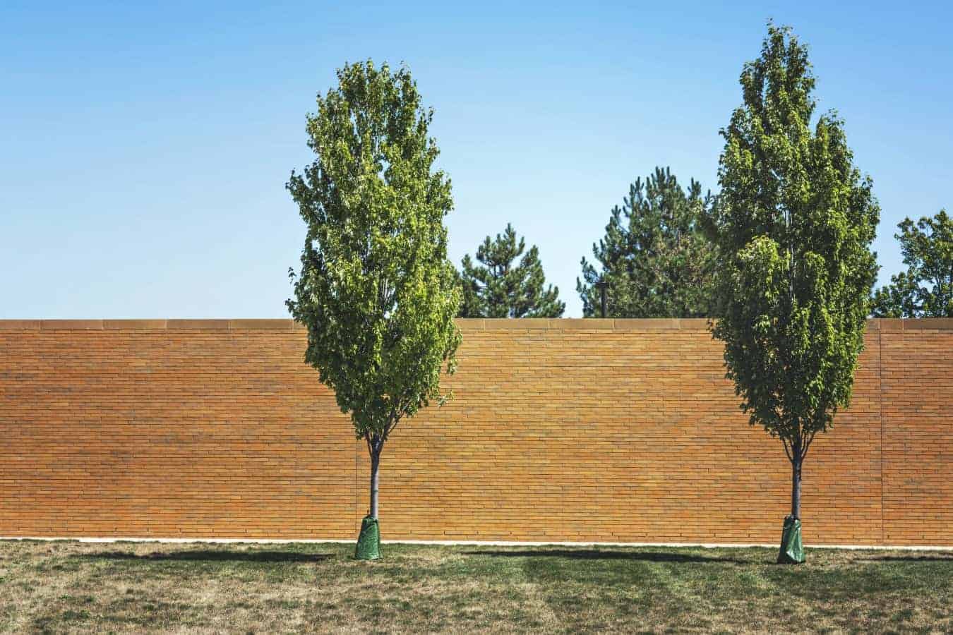 bricks-wall-garden-trees