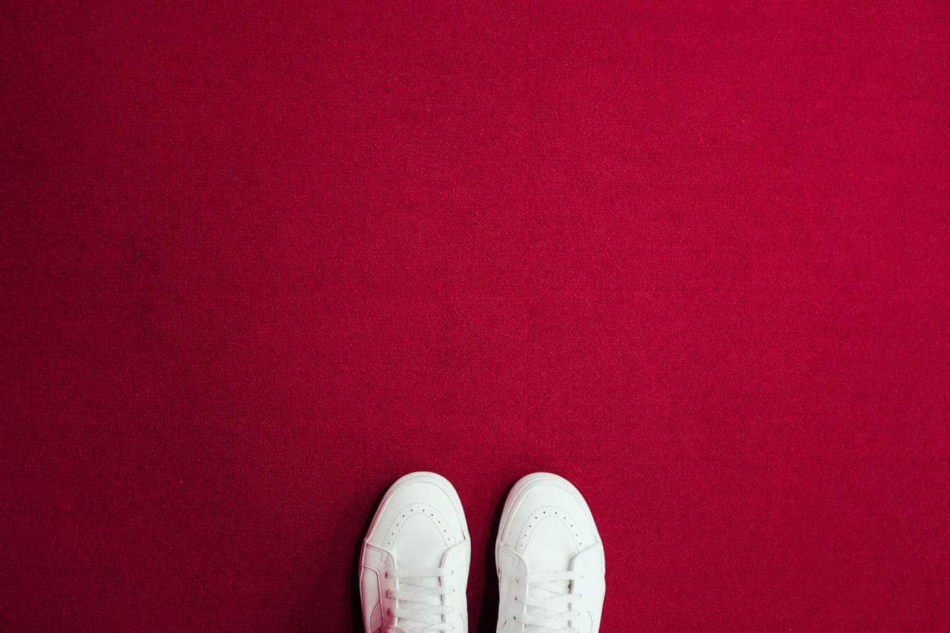 connect with new church guests