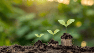 12 reasons why your church doesn't produce spiritual growth